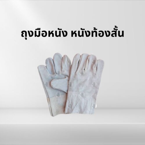 ถุงมือหนังท้องสั้น 10 นิ้ว รุ่น C01001 (เเพ็ค 1 คู่)
