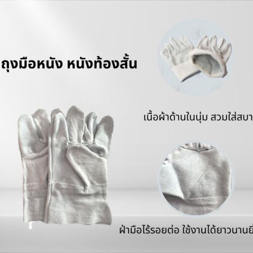 Alternative view of ถุงมือหนังท้องสั้น 10 นิ้ว รุ่น C01001 (เเพ็ค 1 คู่)