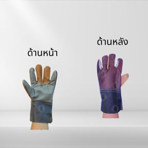 Alternative view of ถุงมือหนังแท้ ขอบยาว 10 นิ้ว รุ่นD01012 (โหล12คู่)