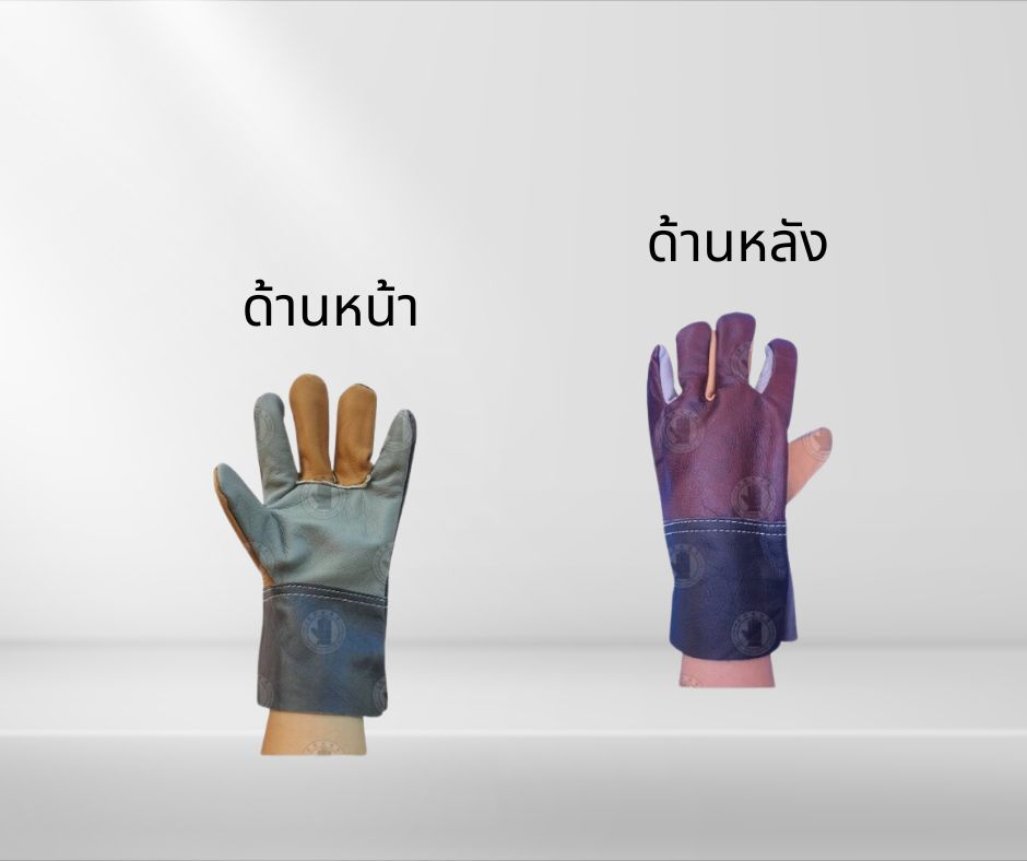 ถุงมือหนังแท้ ขอบยาว 10 นิ้ว รุ่นD01012 (โหล12คู่) - Image 2