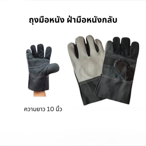 ถุงมือหนังเฟอร์นิเจอร์สั้น 10 นิ้ว รุ่น BB1001 (แพ็ค 1 คู่)
