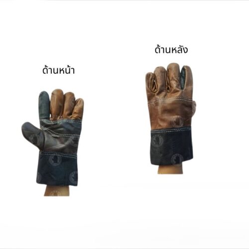 Alternative view of ถุงมือหนังแท้ หน้าต่อ หลังต่อ ขอบยาว 10 นิ้ว รุ่นD11012 (โหล12คู่)