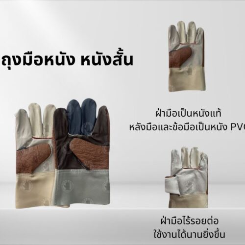 ถุงมือหนังฝ่ามือไร้รอยต่อ เเฟนซี ยาว 10 นิ้ว รุ่นB01012_Cool (ยกโหล 12 คู่)