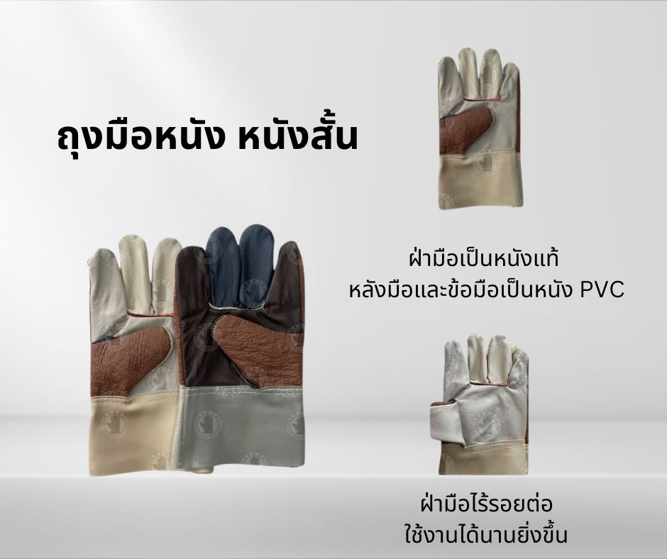 ถุงมือหนังฝ่ามือไร้รอยต่อ เเฟนซี ยาว 10 นิ้ว รุ่นB01012_Cool (ยกโหล 12 คู่)