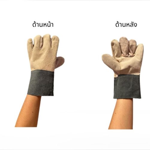 Alternative view of ถุงมือหนังกลับทั้งชิ้น ยาว10 นิ้ว รุ่น DC1001 (เเพ็ค 1 คู่)