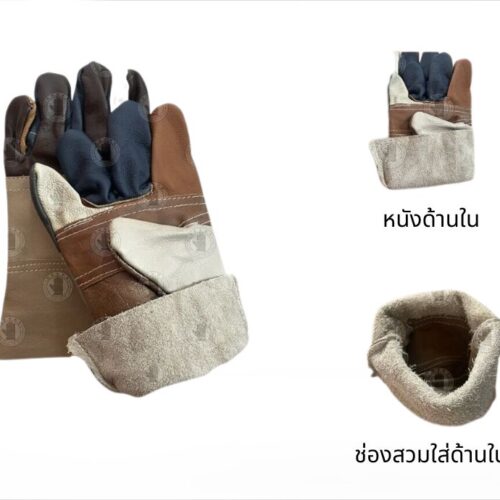 Alternative view of ถุงมือหนัง ความยาว 10 นิ้ว รุ่นD11001 (เเพ็ค 1 คู่ คละสี )