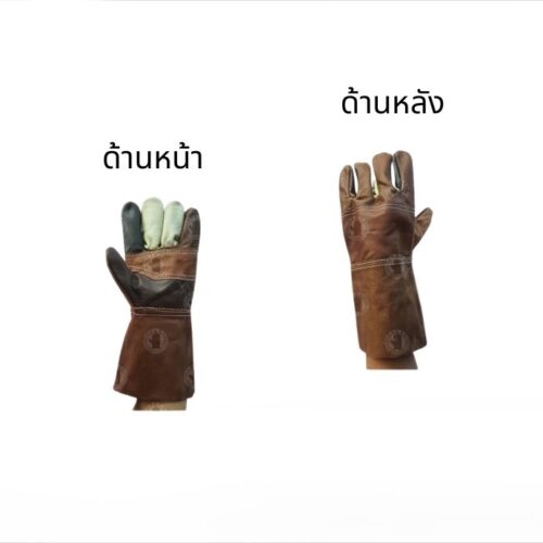 Alternative view of ถุงมือหนังแท้ หน้าต่อ หลังต่อ ขอบยาว 12 นิ้ว รุ่นD11212 (โหล12คู่)