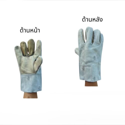 Alternative view of ถุงมือหนังฝ่ามือหน้าเต็ม หลังขอบหนังท้อง ยาว 10 นิ้ว รุ่นE01012 (โหล12คู่)