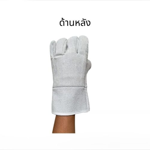 ถุงมือหนังท้อง รุ่นนี้เสริมซับใน รุ่นGRD01001ยาว 10 นิ้ว ( บรรจุ 1 คู่ ) - Image 3