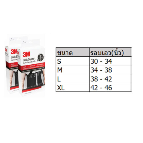 3M : เข็มขัดพยุงหลัง size S/M/L/XL - Image 3